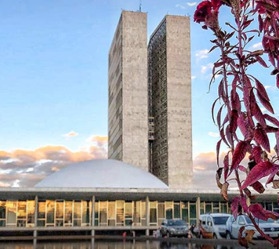 Senado preserva agrofloresta no coração de Brasília